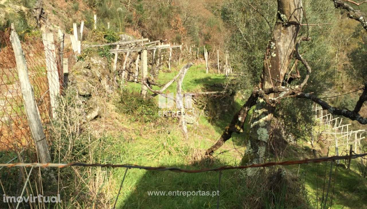 Venda de Terreno de construção, Grade, Arcos de Valdevez. - Grande imagem: 4/26