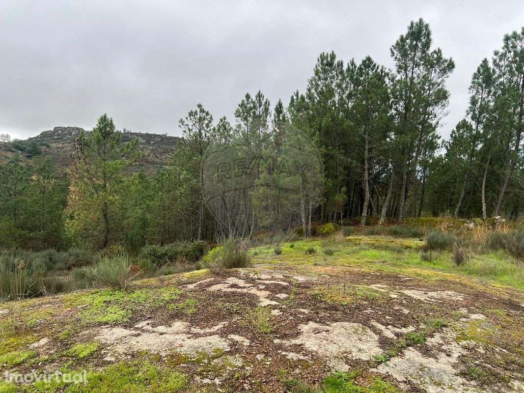 Terreno  para venda - Grande imagem: 2/7