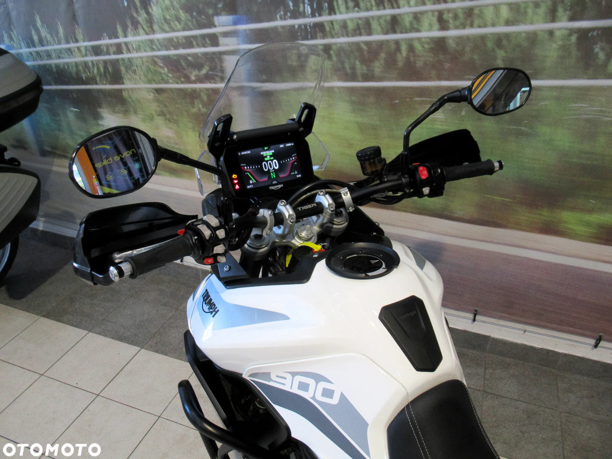 Triumph Tiger - 10
