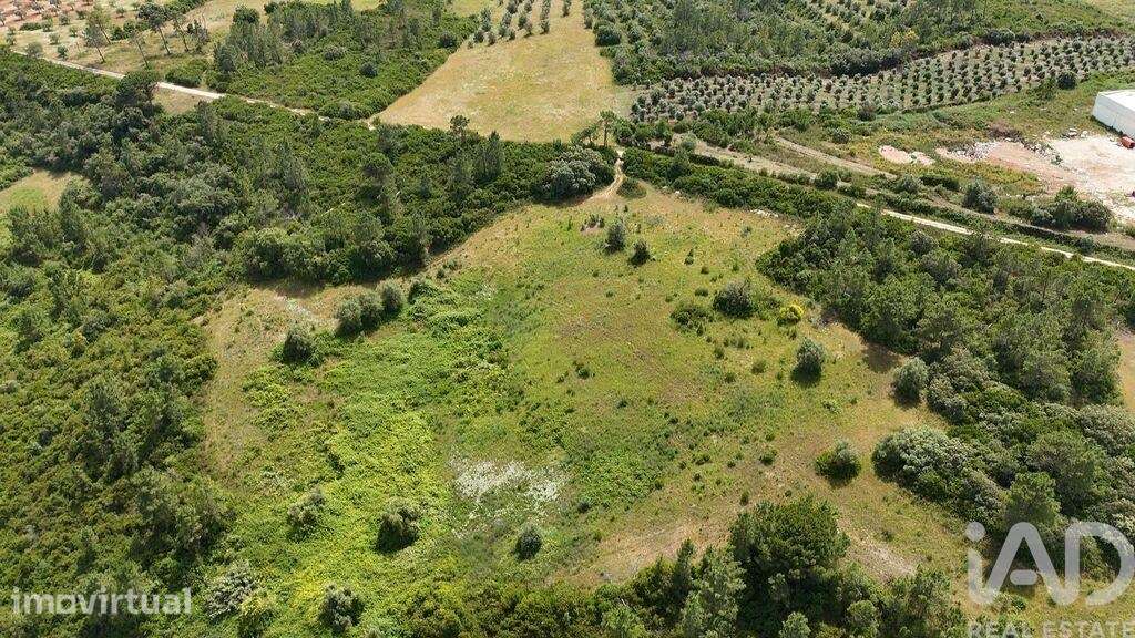 Terreno Agrícola em Azambujeira e Malaqueijo - Grande imagem: 3/39