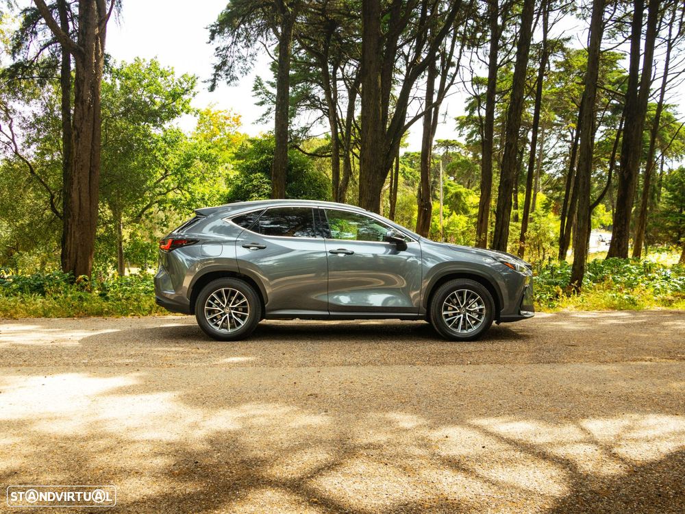 Lexus NX 450h+ Executive - 8