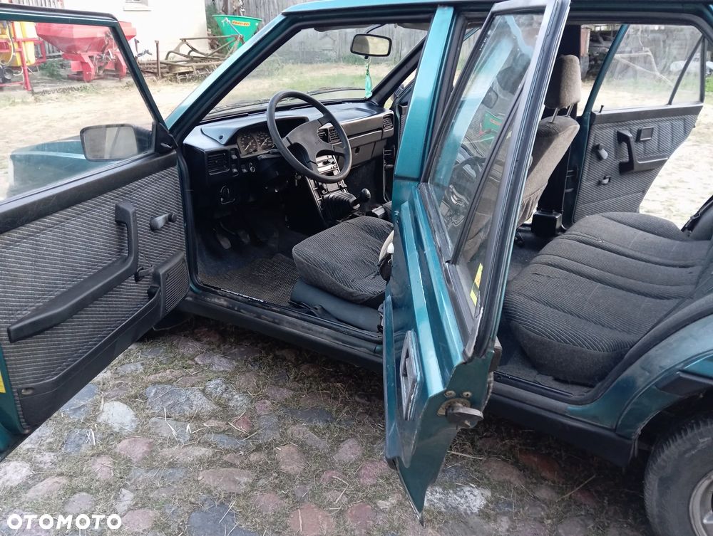 Polonez Caro - 12