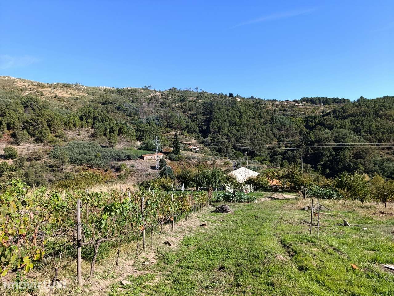 Quintinha 5.140 m2 com armazém registado – Covilhã, Serra da Estrela - Grande imagem: 2/31