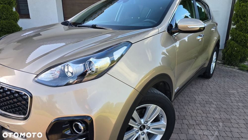 Kia Sportage - 3