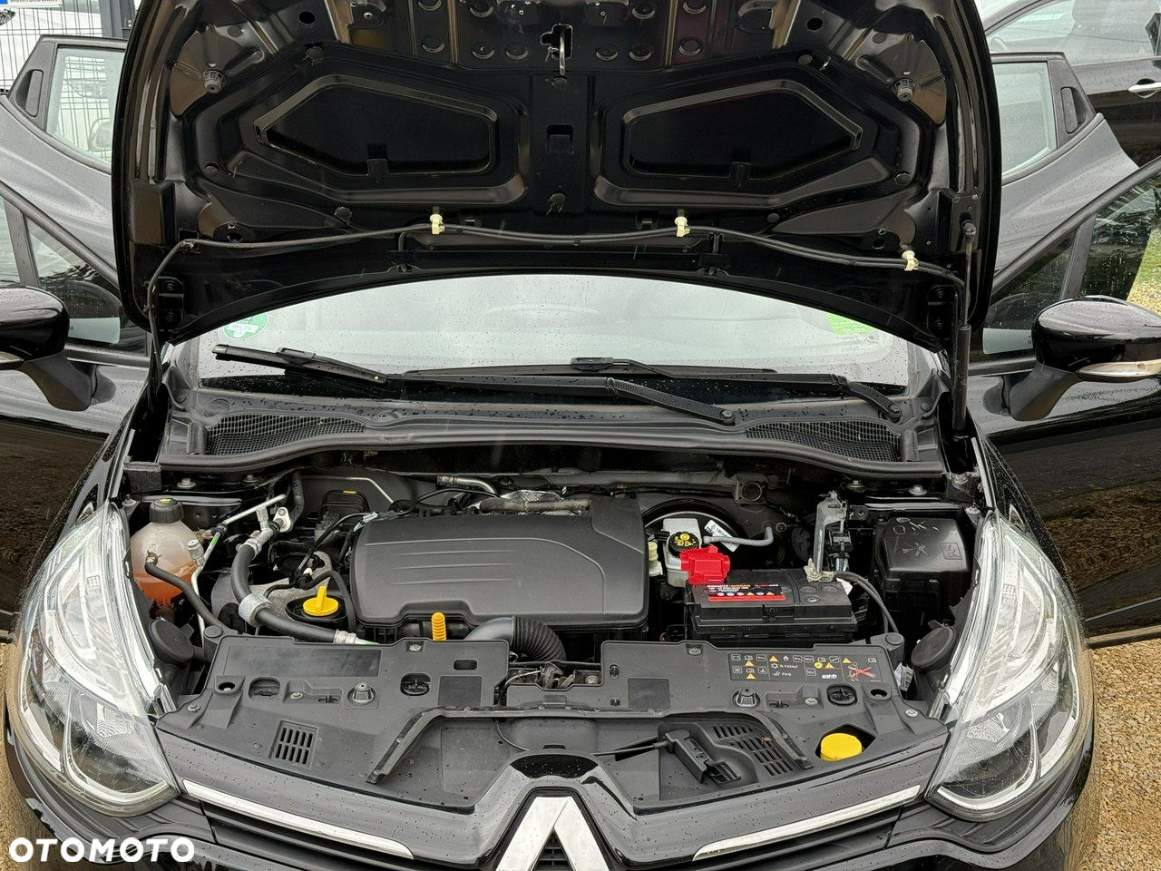Renault Clio - 29