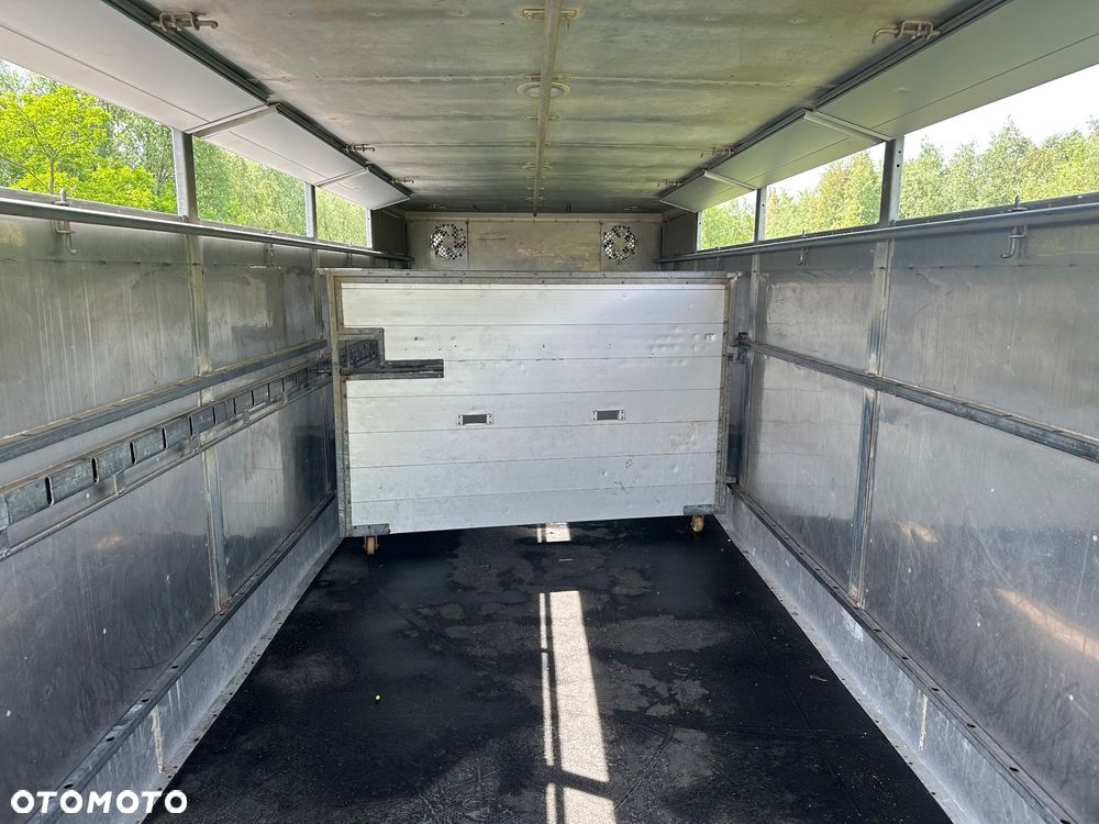 DAF CF 440  DO BYDLA -ZWIERZAT -ZYWCA - 11