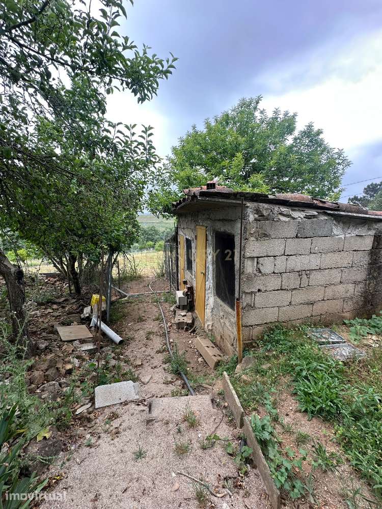 Quinta com Vista para a Montanha em Sabugal - Grande imagem: 4/14