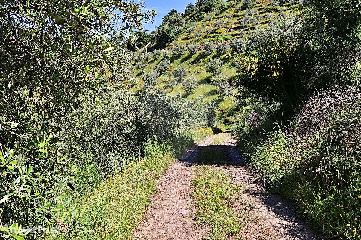 Terreno  para venda - Grande imagem: 5/17