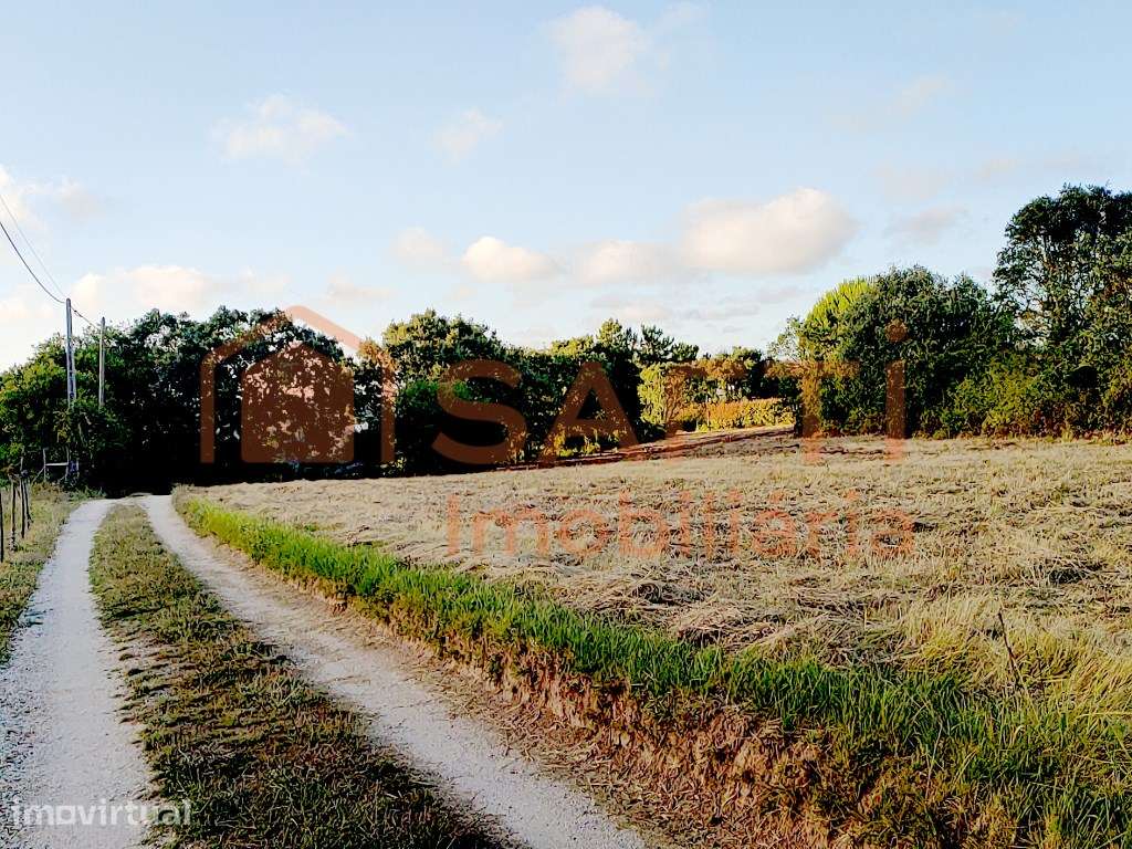 Terreno com 5000 m² com potencial para Turismo Rural (+ de 10 Quart... - Grande imagem: 4/15