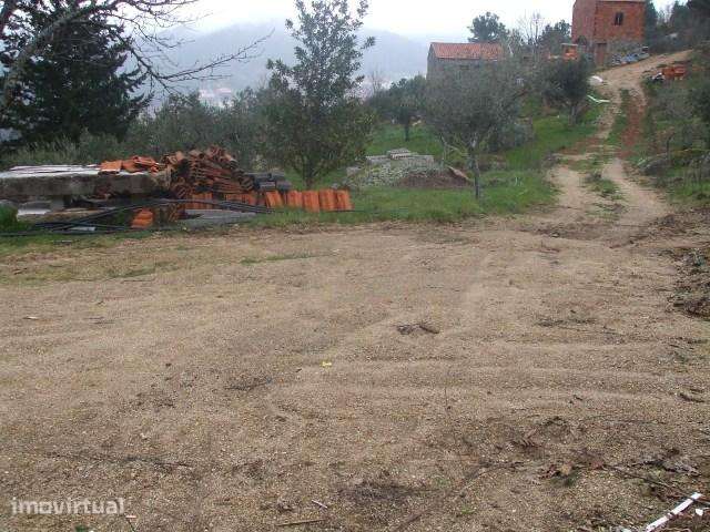 Quinta  Venda em Teixoso e Sarzedo,Covilhã - Grande imagem: 5/8