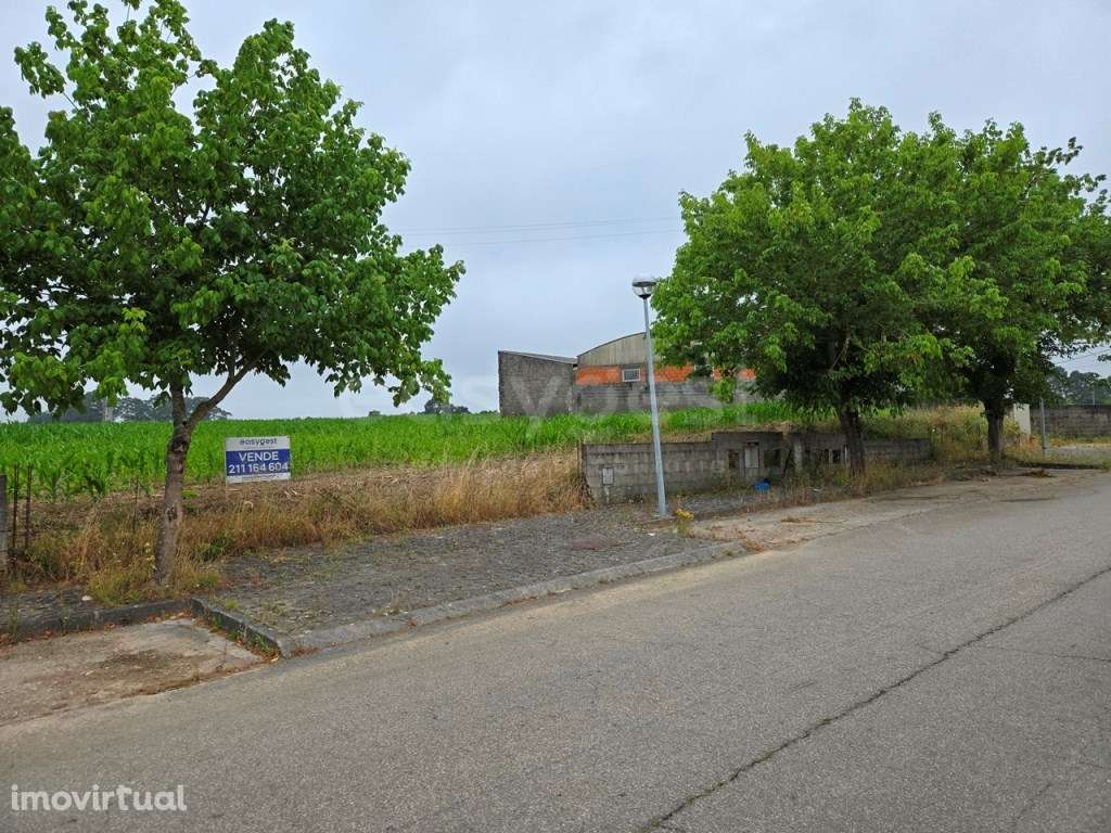 Lotes para Construção - localizado em Oliveirinha - Grande imagem: 2/7