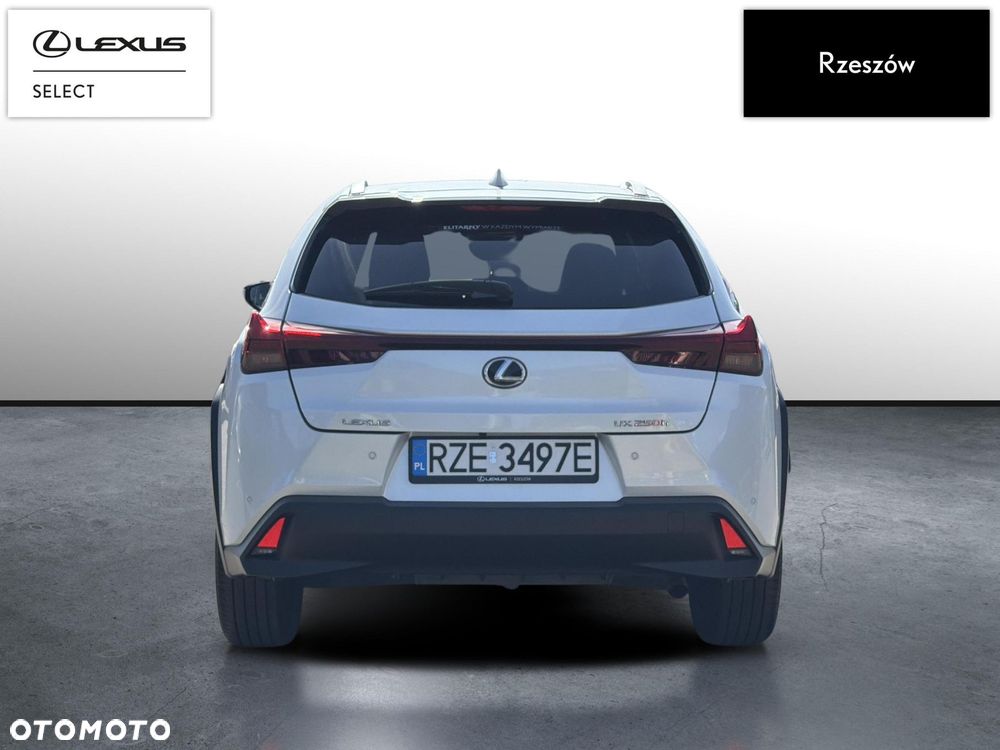 Lexus UX 250h GPF Business 2WD - 4