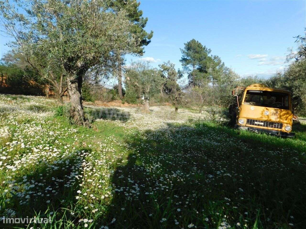 Terreno / Fundão, Telhado - Grande imagem: 4/15