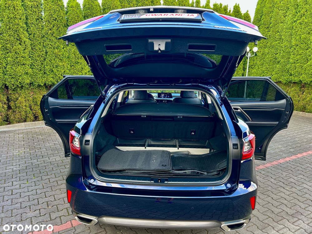 Lexus RX 200t / 300 GPF Elite - 28