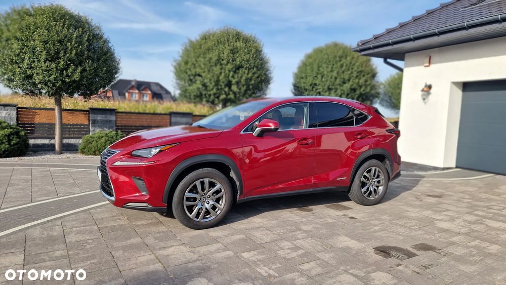 Lexus NX 300 Elegance AWD - 14