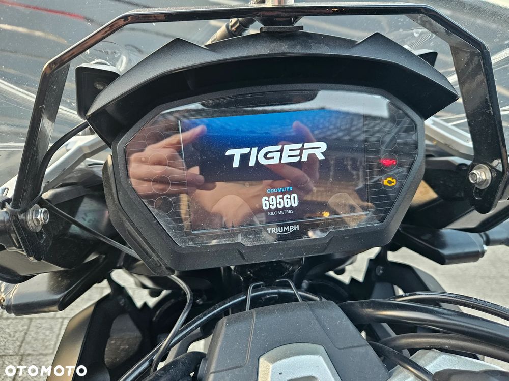Triumph Tiger - 10