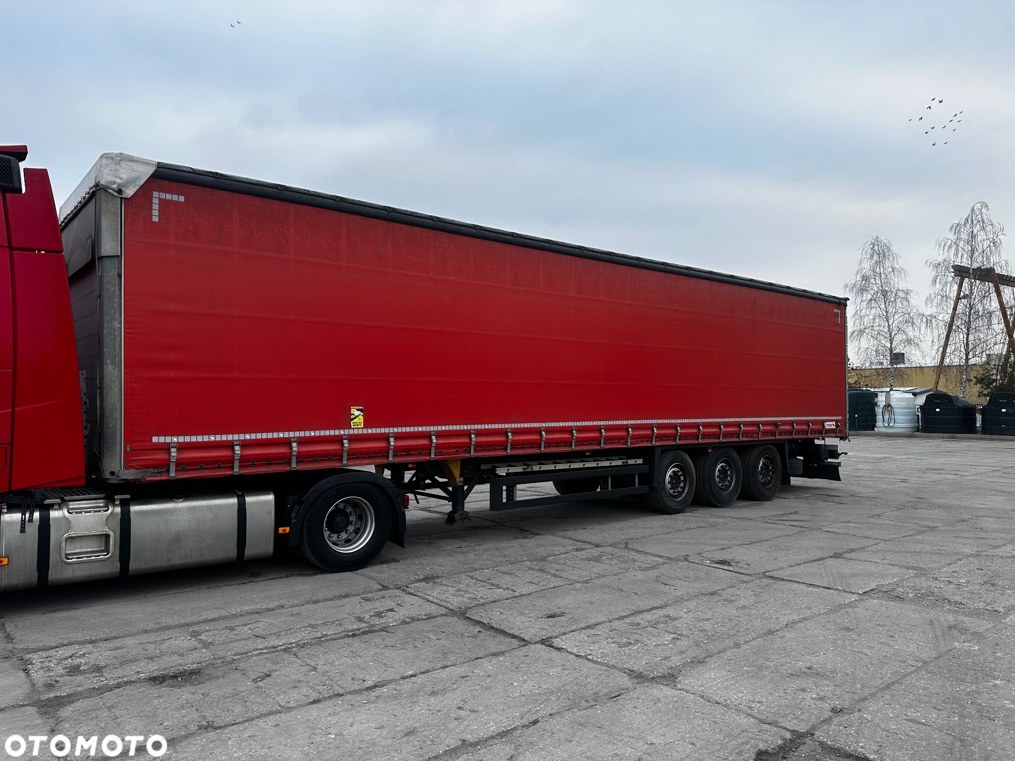Schmitz Cargobull - 1