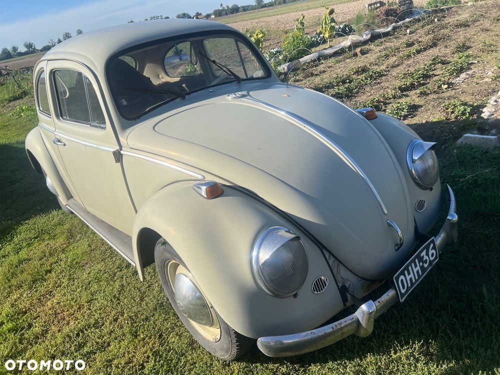 Volkswagen Garbus - 25