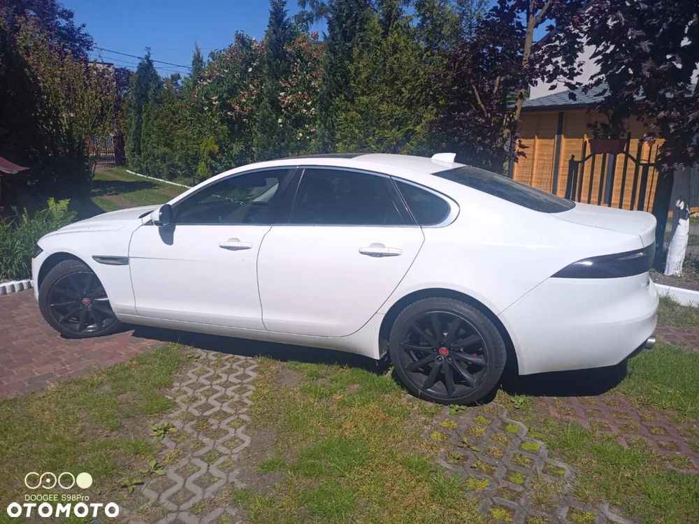 Jaguar XF 3.0 V6 Kompressor - 1