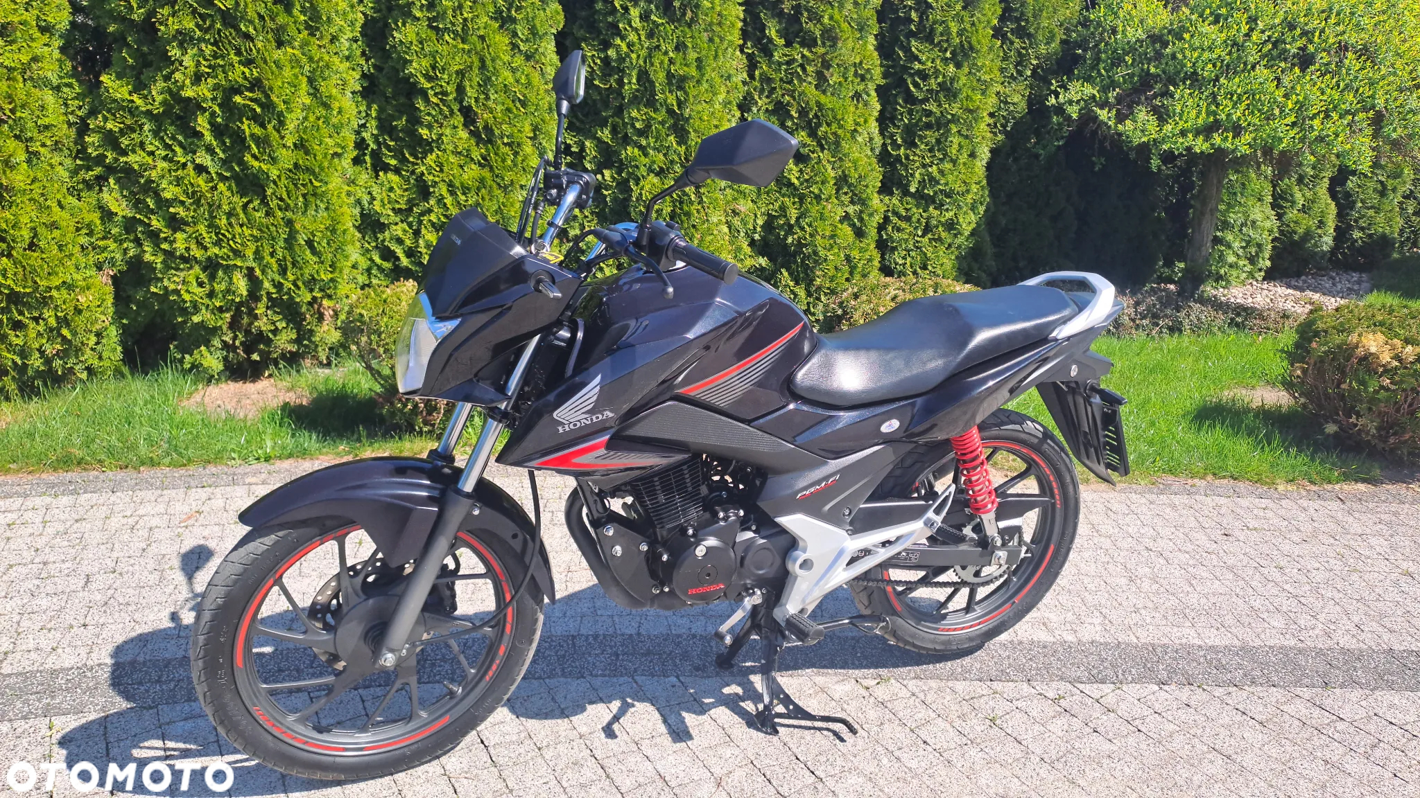 Honda CBF - 6