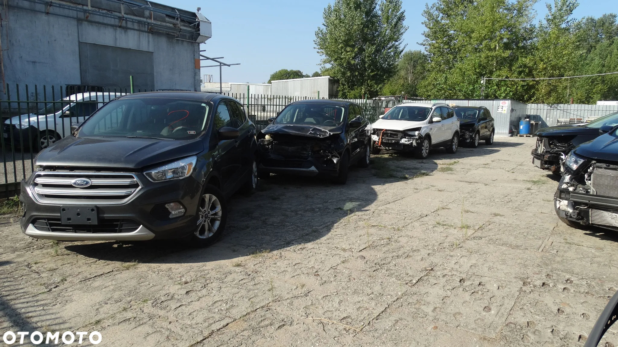 Ford Kuga 1.5 EcoBoost AWD Trend ASS - 15