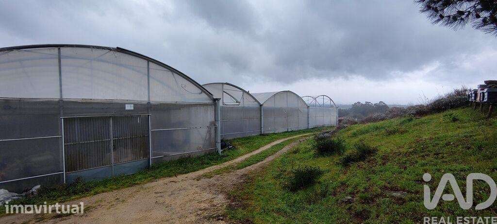 Terreno em Cerdal de 8000,00 m2 - Grande imagem: 4/22