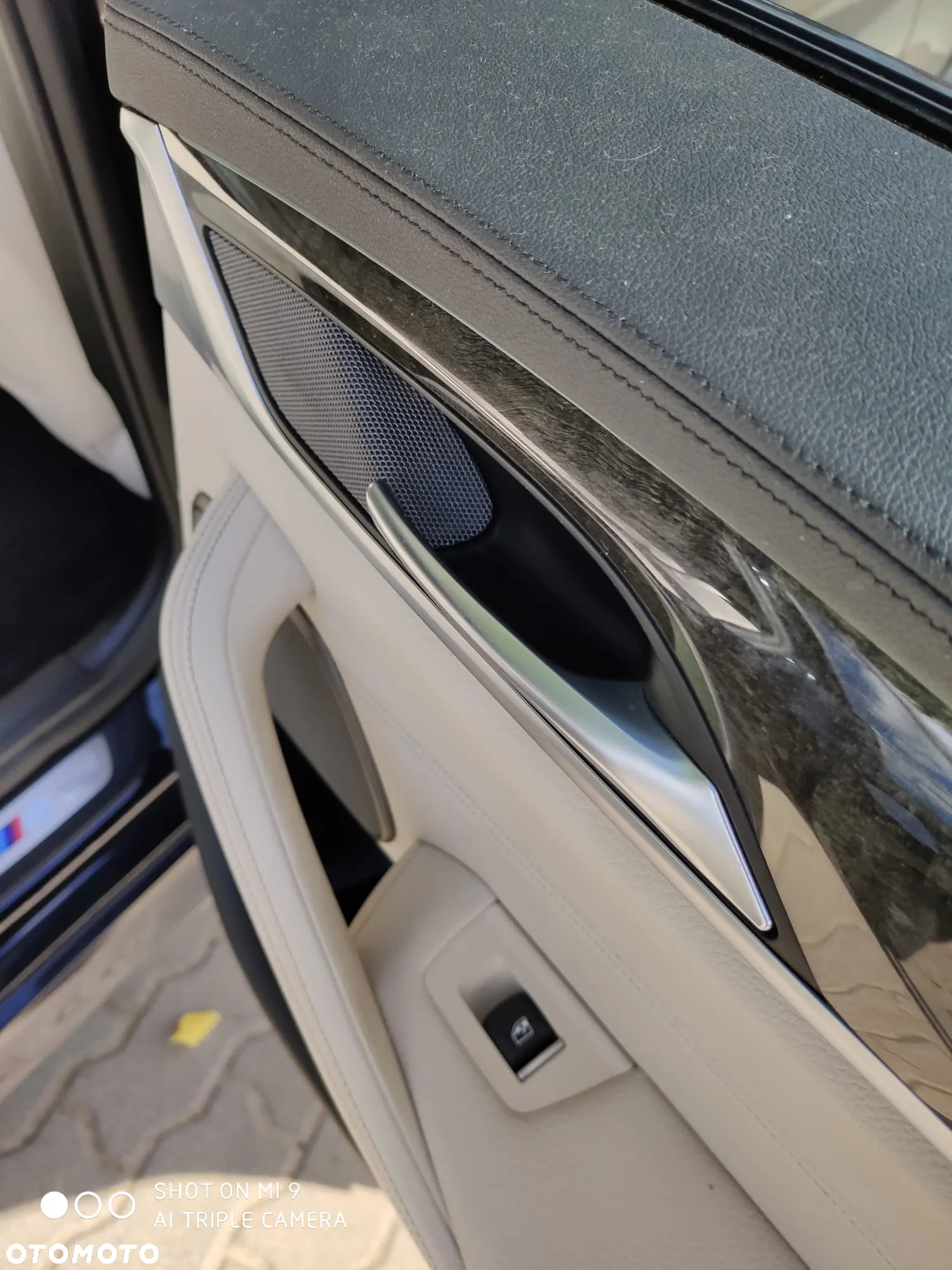 BMW Seria 5 530d xDrive M Sport sport - 10