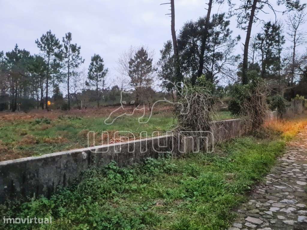 Terreno Vila Fria - Grande imagem: 4/8