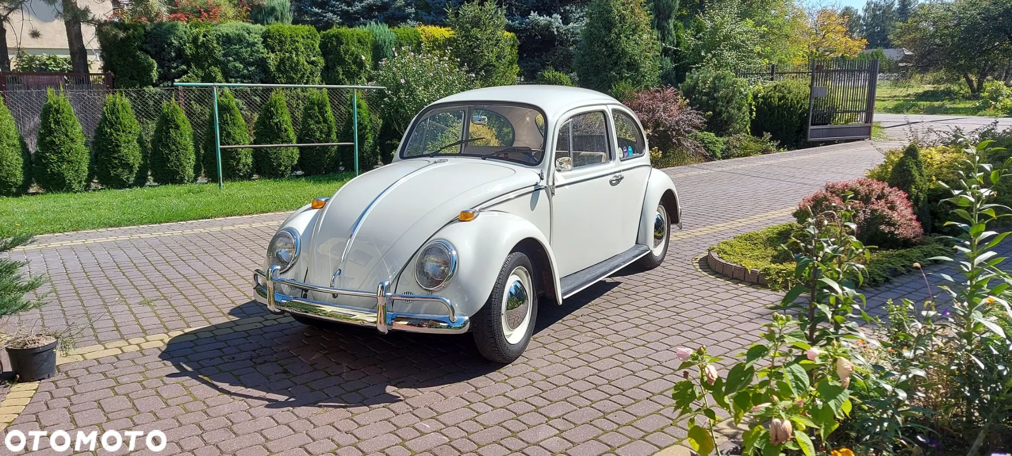 Volkswagen Garbus - 1