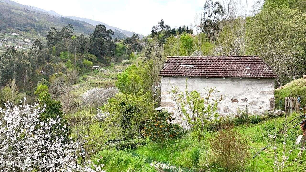 Quintinha / Cinfães, Santiago de Piães - Grande imagem: 2/17