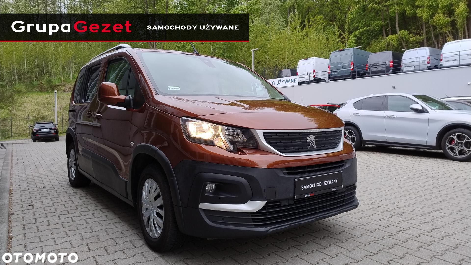 Peugeot Rifter - 9