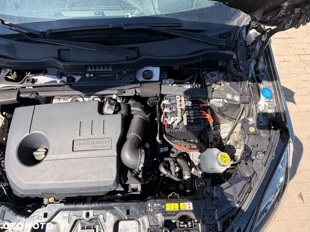 Jaguar E-Pace 1.5 P300e PHEV AWD R-Dynamic SE - 21