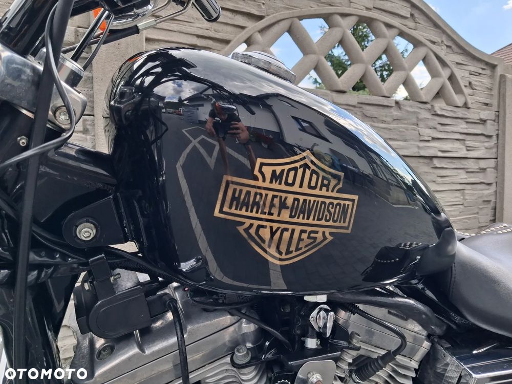 Harley-Davidson Sportster Custom 883C - 5