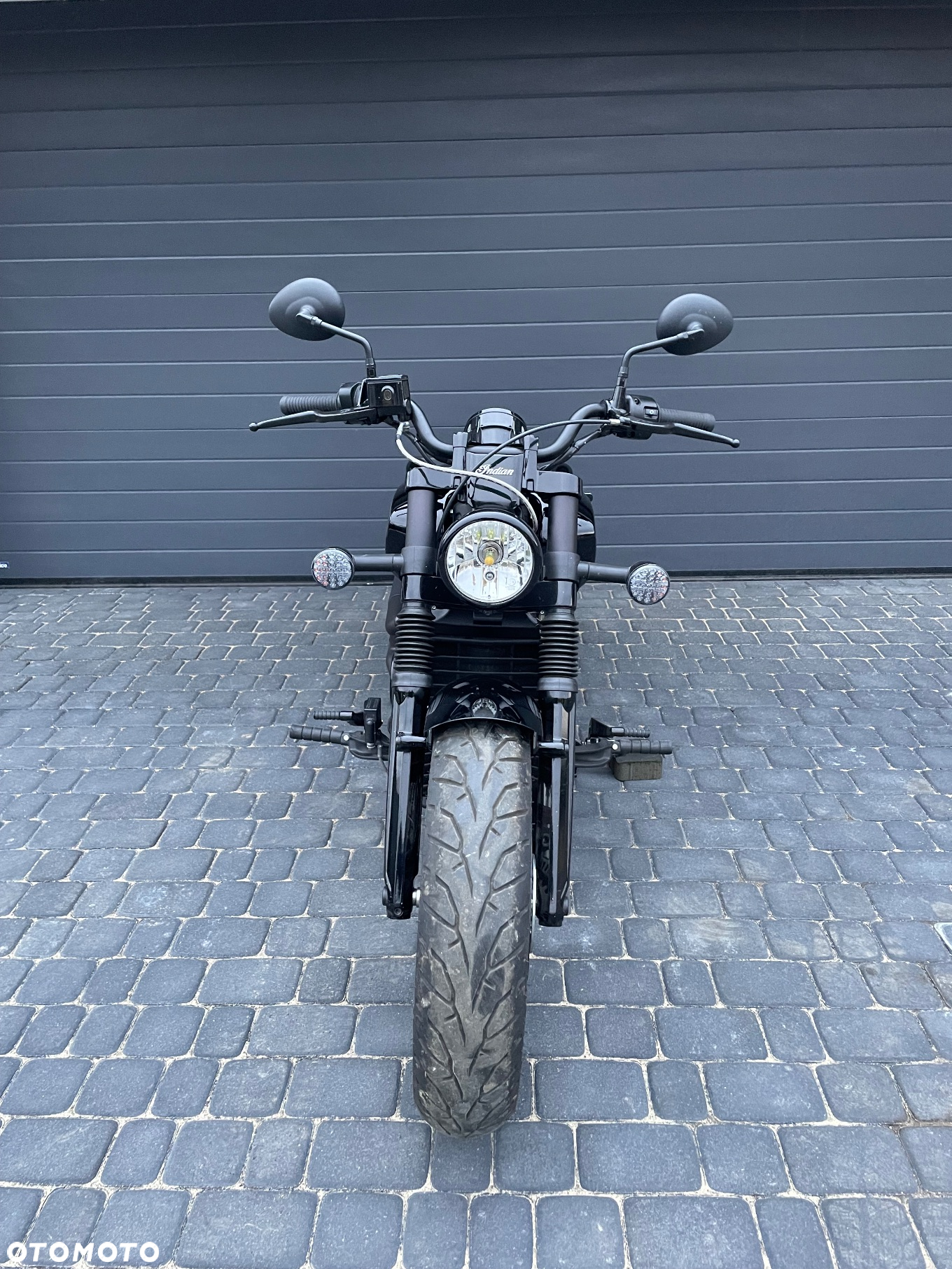 Indian Scout - 3