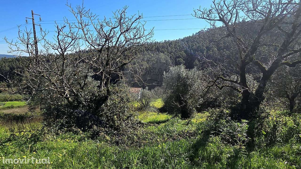 Moradia T2 para venda - Grande imagem: 5/24