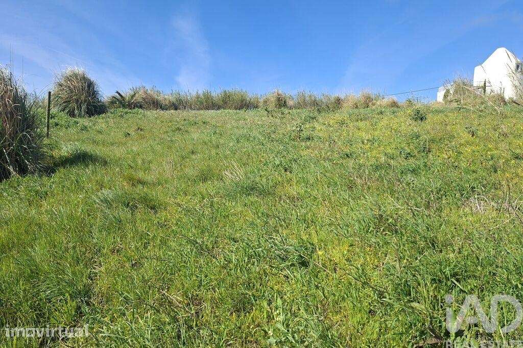 Terreno em Atouguia da Baleia - Grande imagem: 5/8