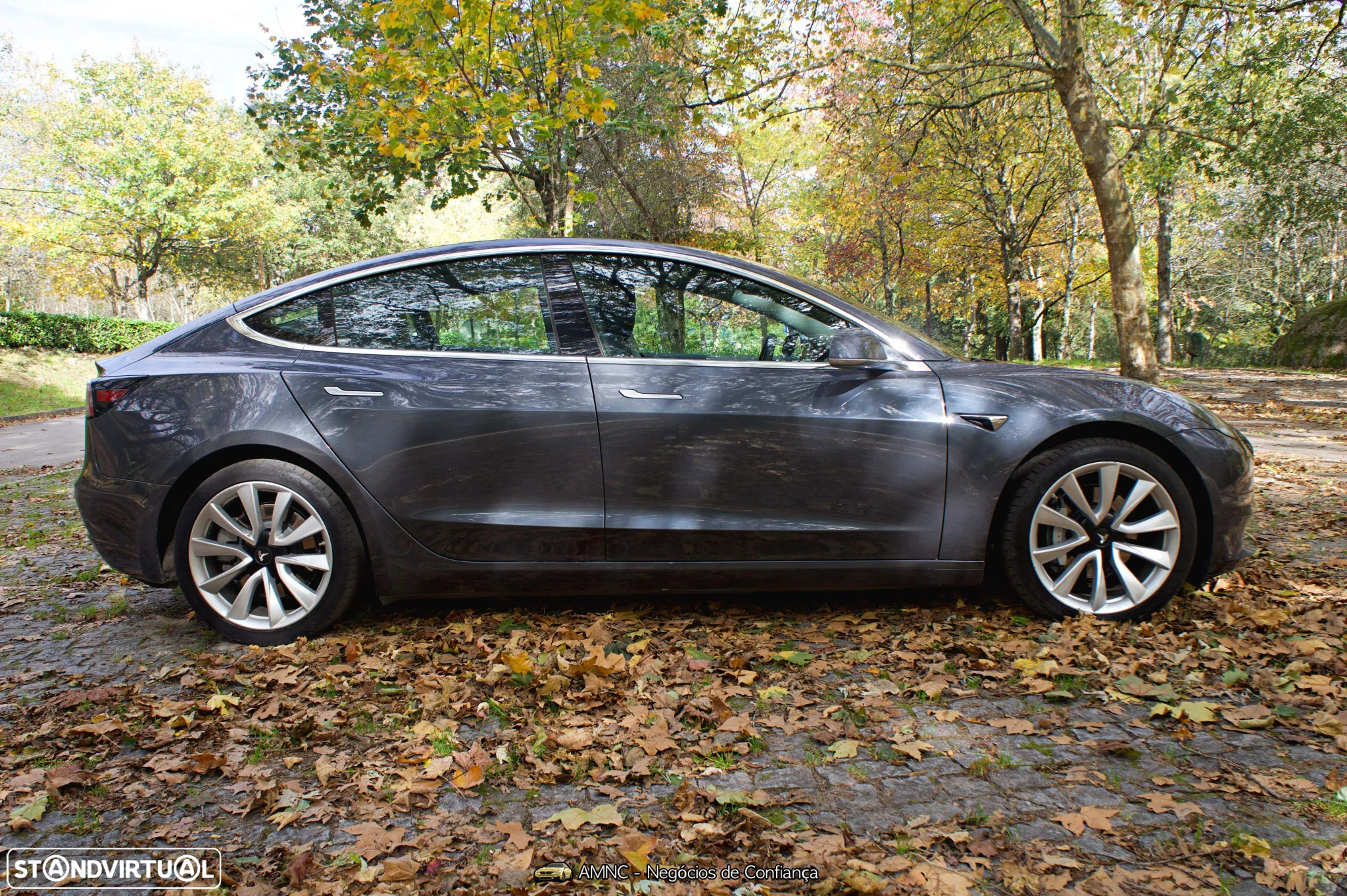 Tesla Model 3 Performance Dual Motor AWD - 7