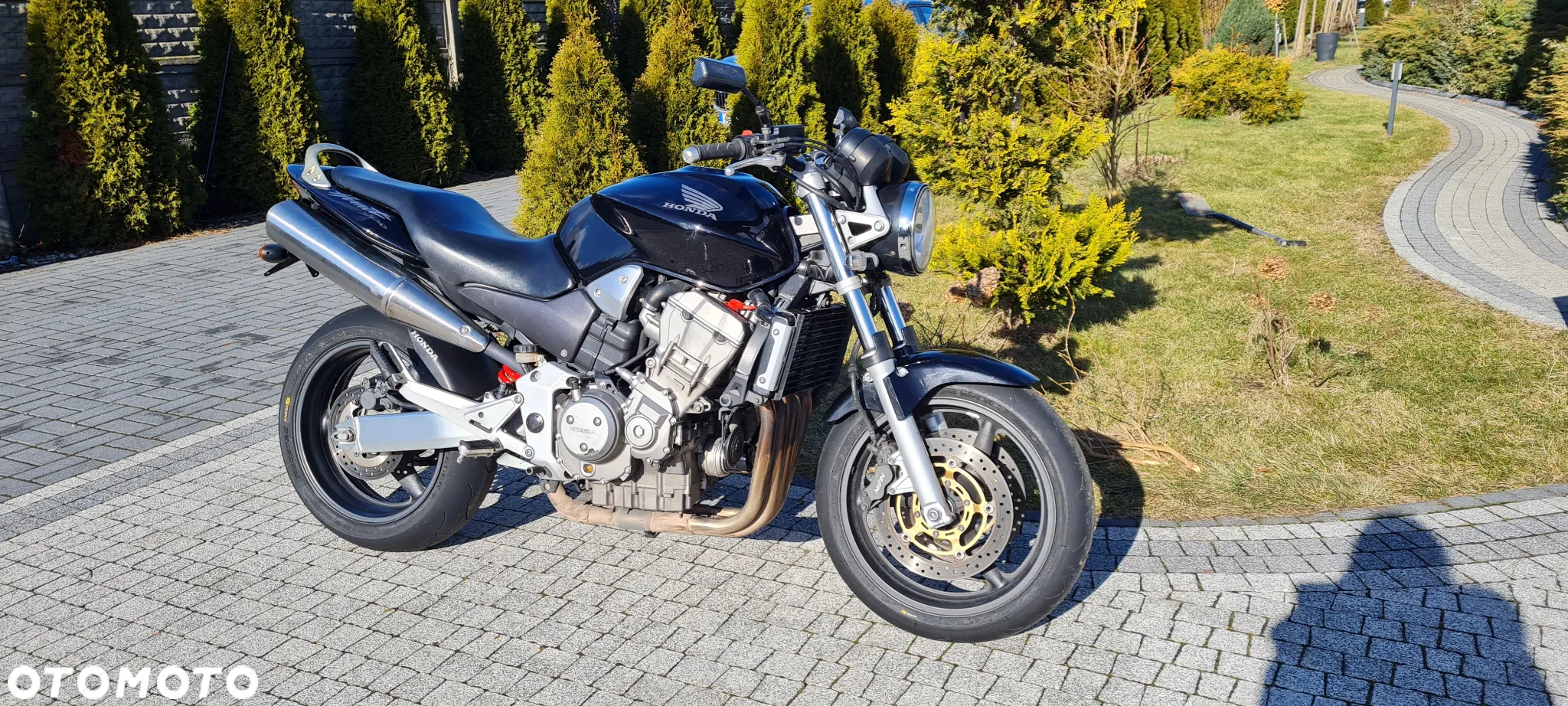 Honda Hornet - 5