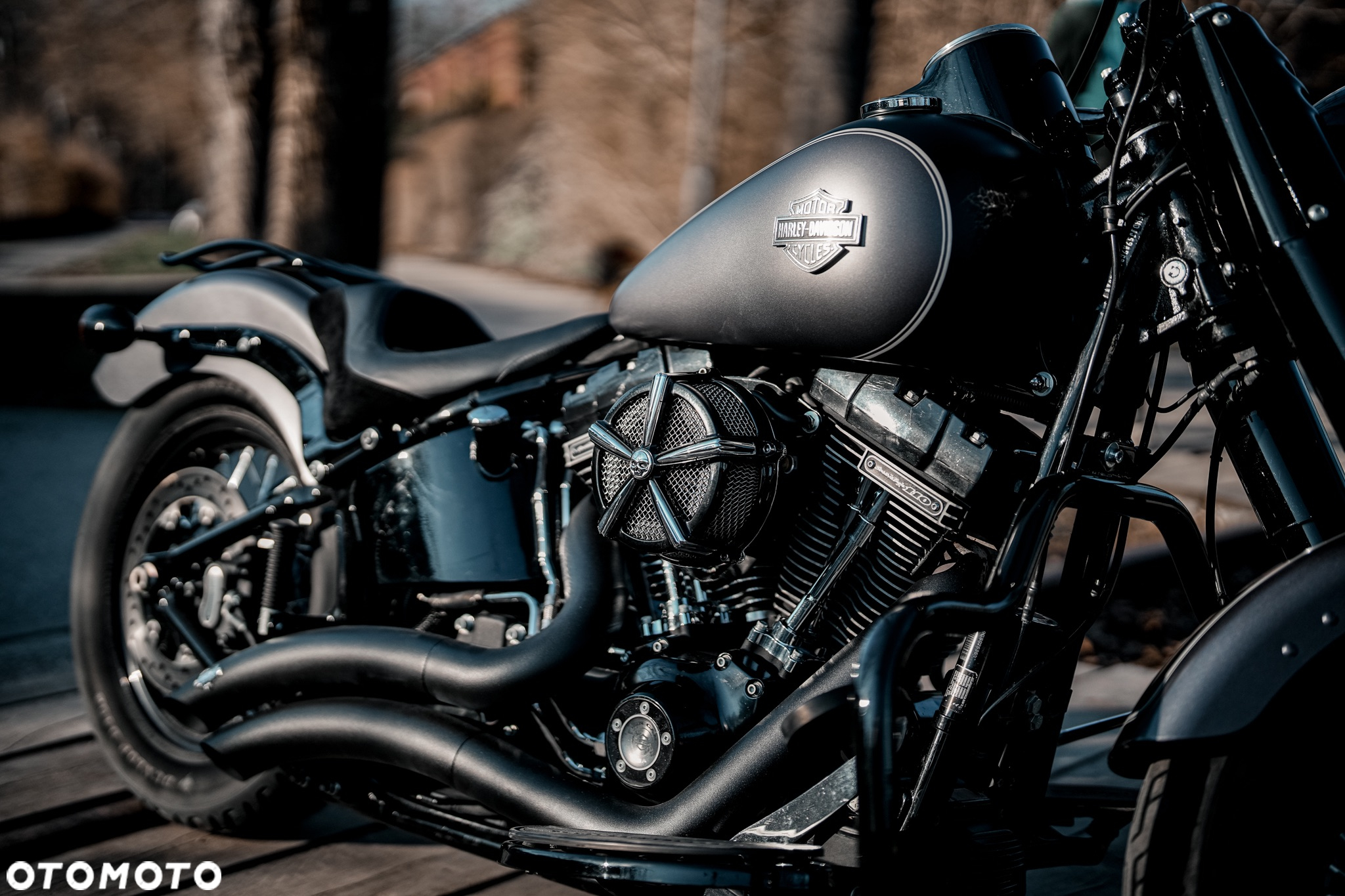 Harley-Davidson Softail Slim - 4