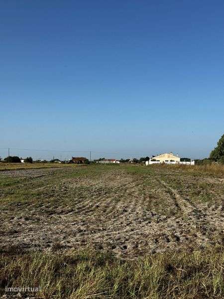 Terreno rustico 7720m2 - 45 min Lisboa - Grande imagem: 4/5