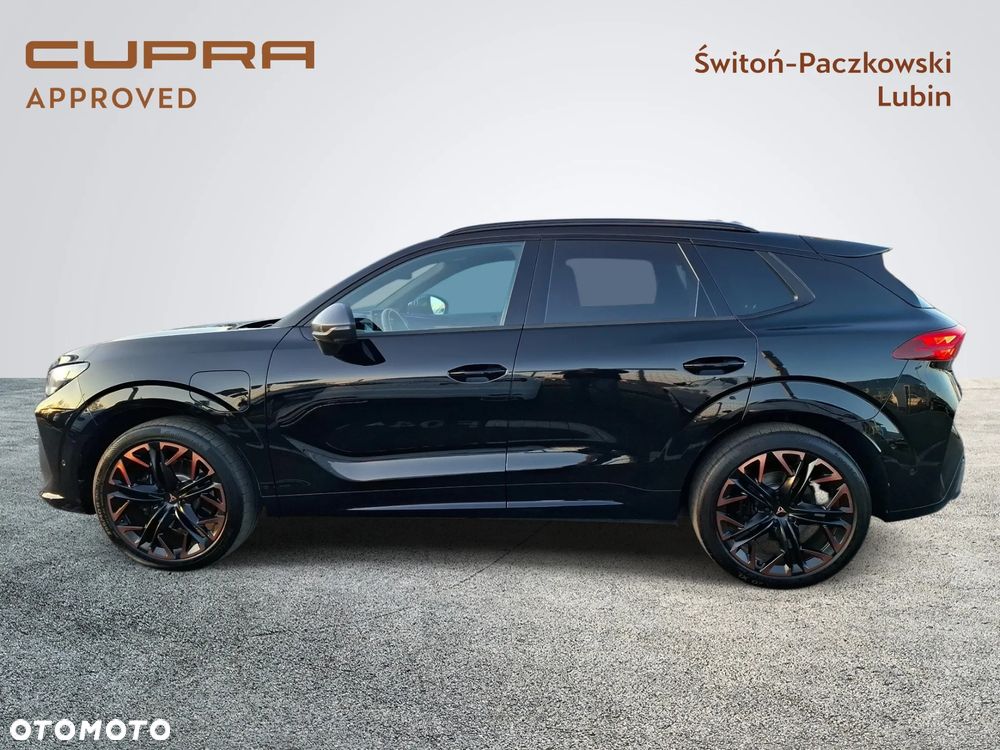 Cupra Terramar - 2