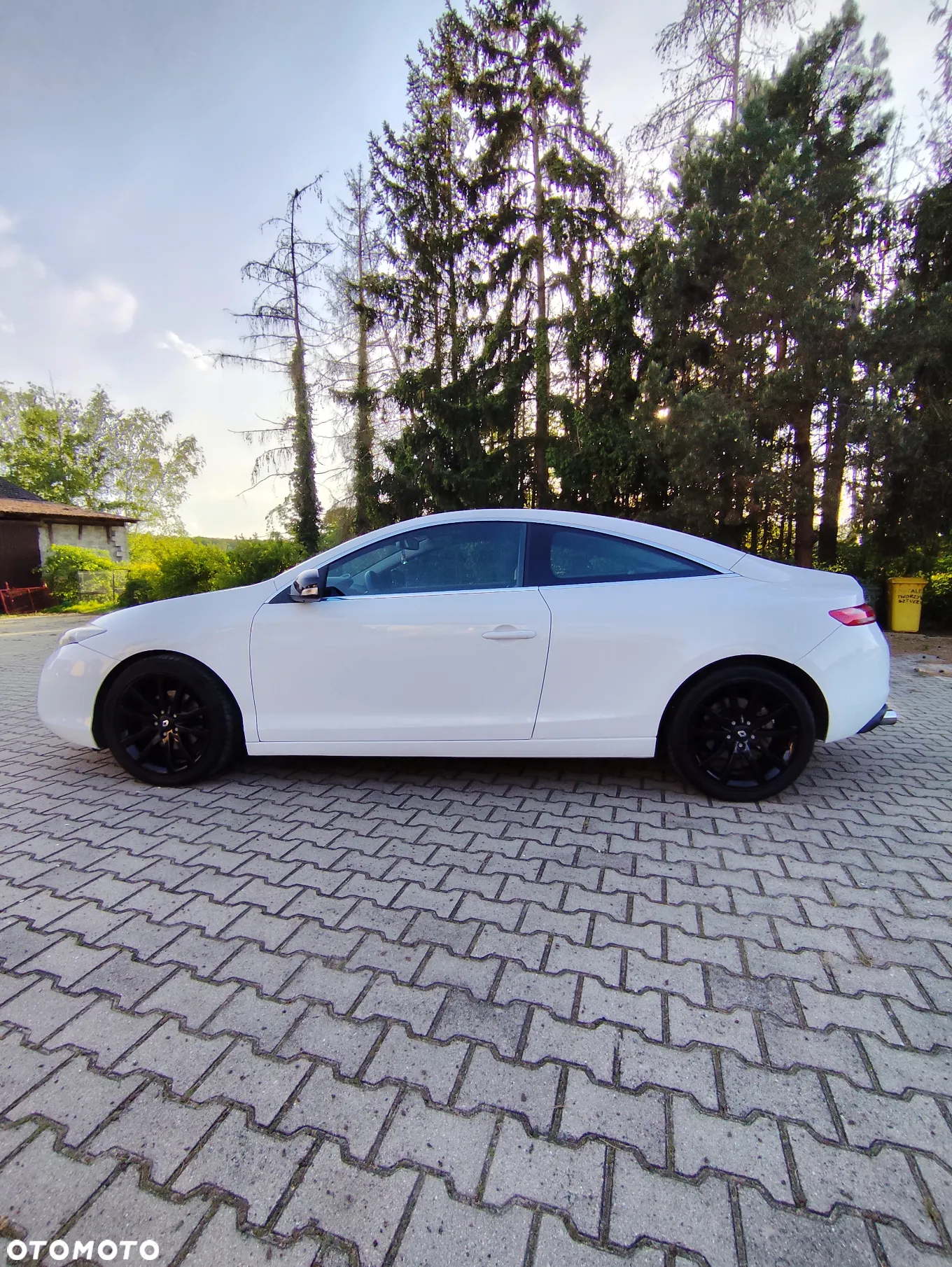 Renault Laguna 2.0 16V Coupe - 12