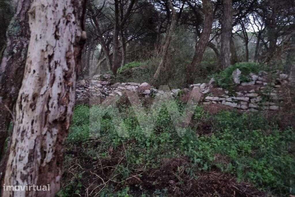 Terreno Rústico (1480m2) para venda em São João das Lampas - Grande imagem: 4/7