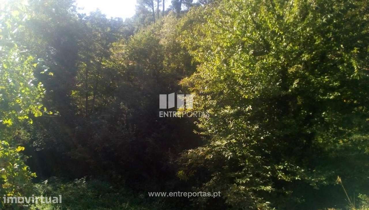 Venda Terreno, Soalhães, Marco de Canaveses - Grande imagem: 5/8