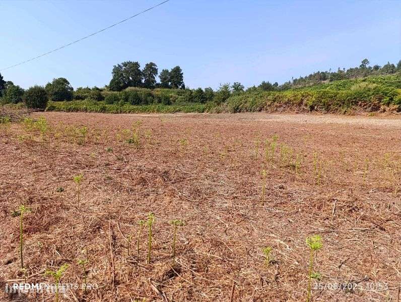 Terreno à venda em Madalena (Jolda) - Grande imagem: 3/12