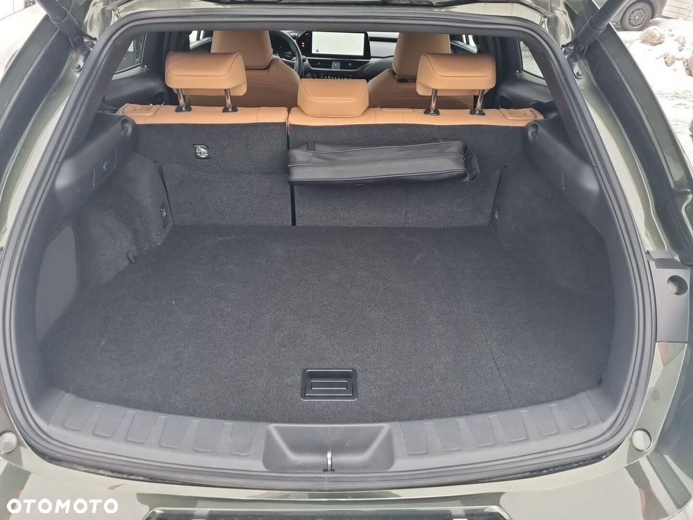 Lexus UX 300h F Sport Design - 11