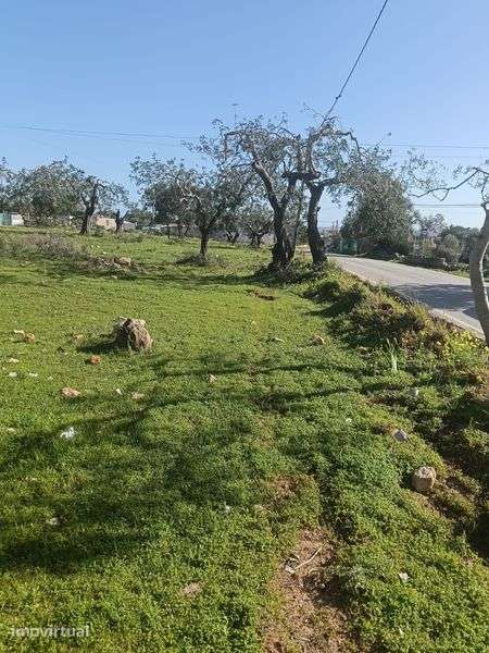 Vende-se terreno - Grande imagem: 4/8