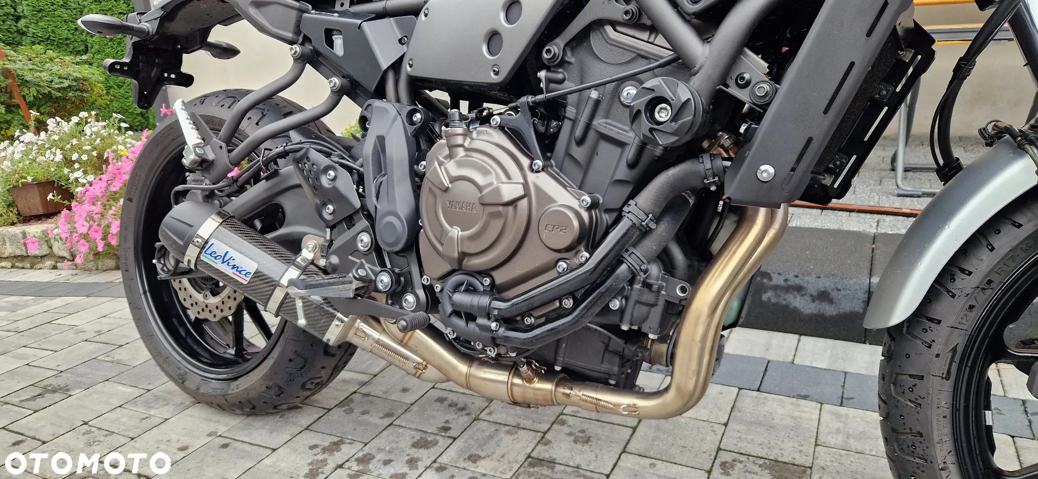 Yamaha XSR - 6