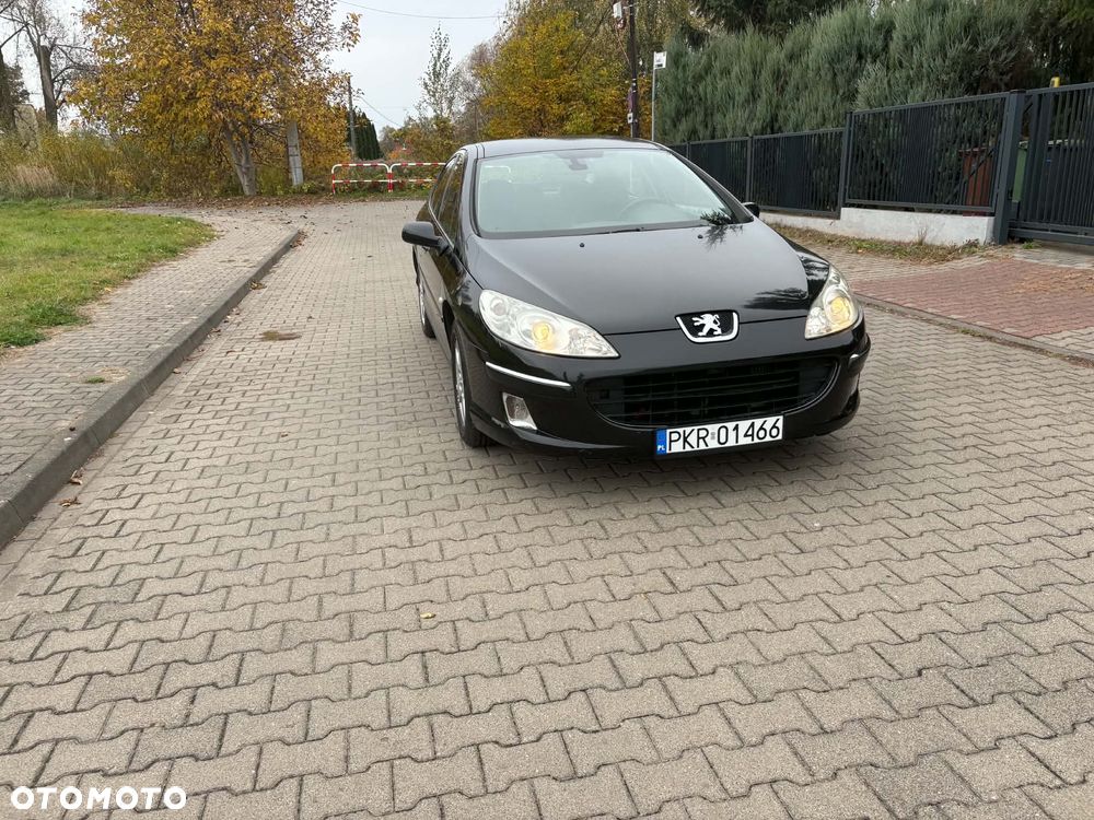 Peugeot 407 - 3