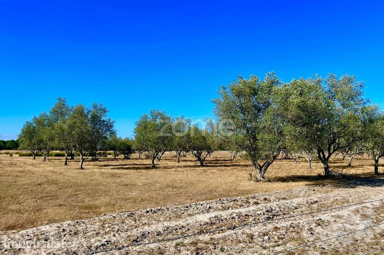 Terreno Misto Grândola - Grande imagem: 2/18